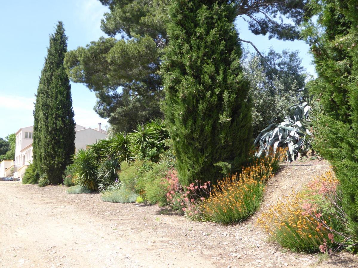 Domaine De L'Herbe Sainte Mirepeisset Exterior photo