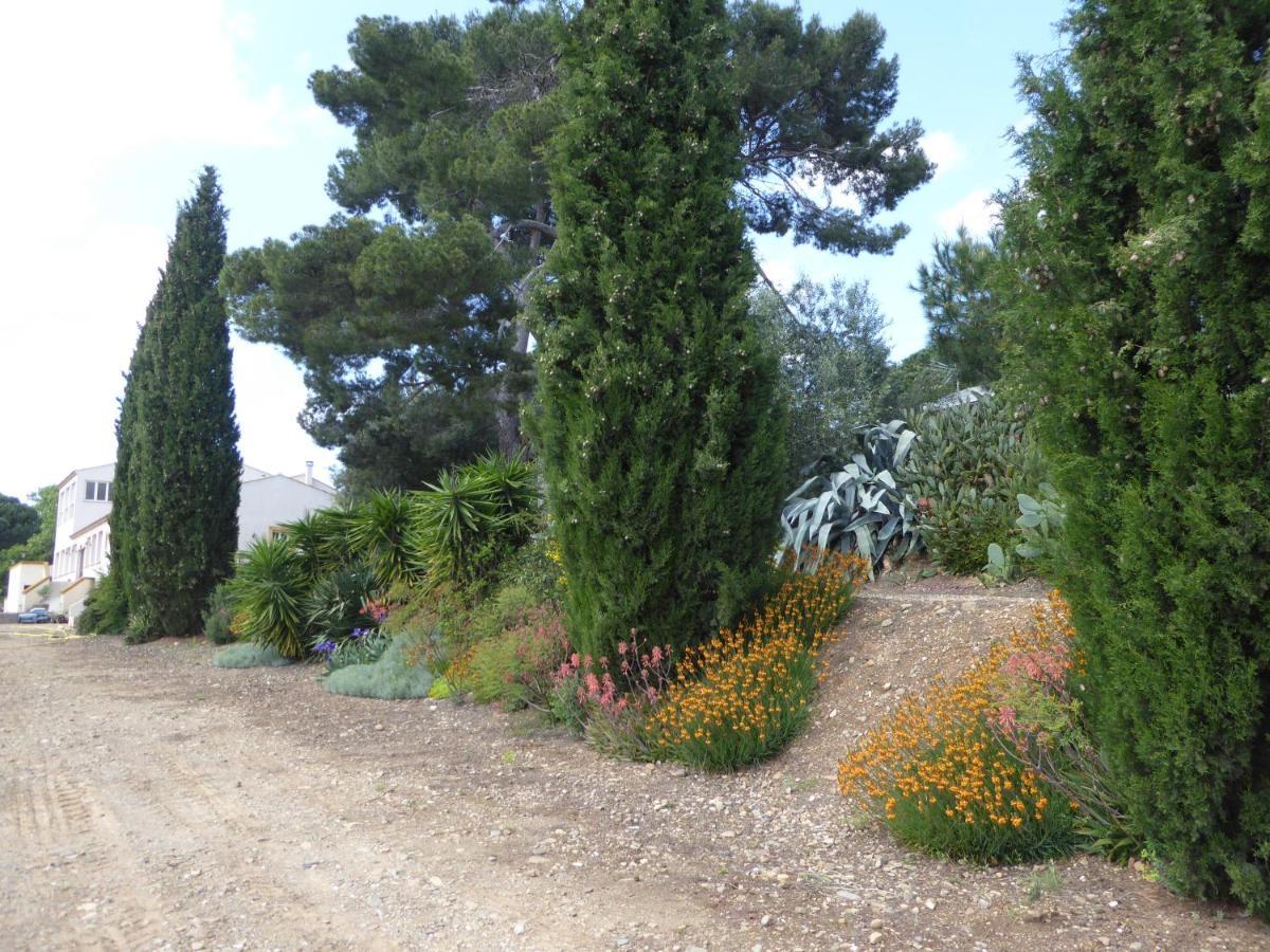 Domaine De L'Herbe Sainte Mirepeisset Exterior photo