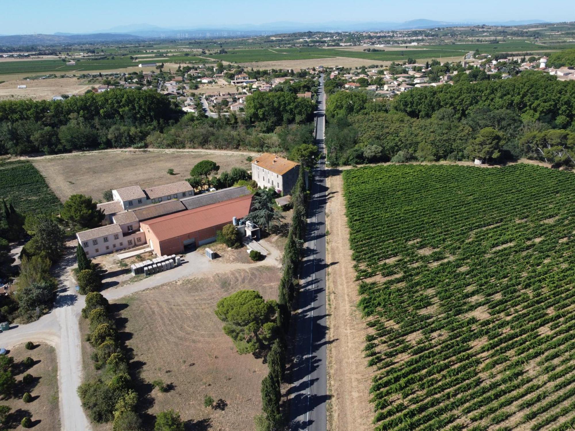 Domaine De L'Herbe Sainte Mirepeisset Exterior photo